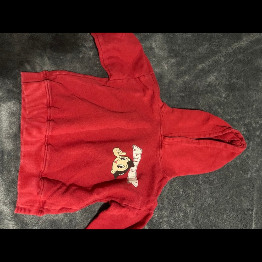 Zara Red Kids Hoodie with Bear Graphic